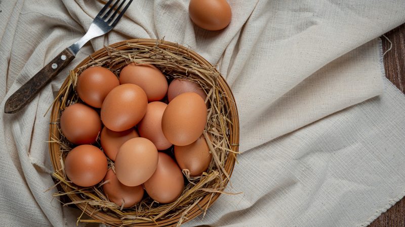 Huevos libres de jaula para hoteles y restaurantes en Costa Rica